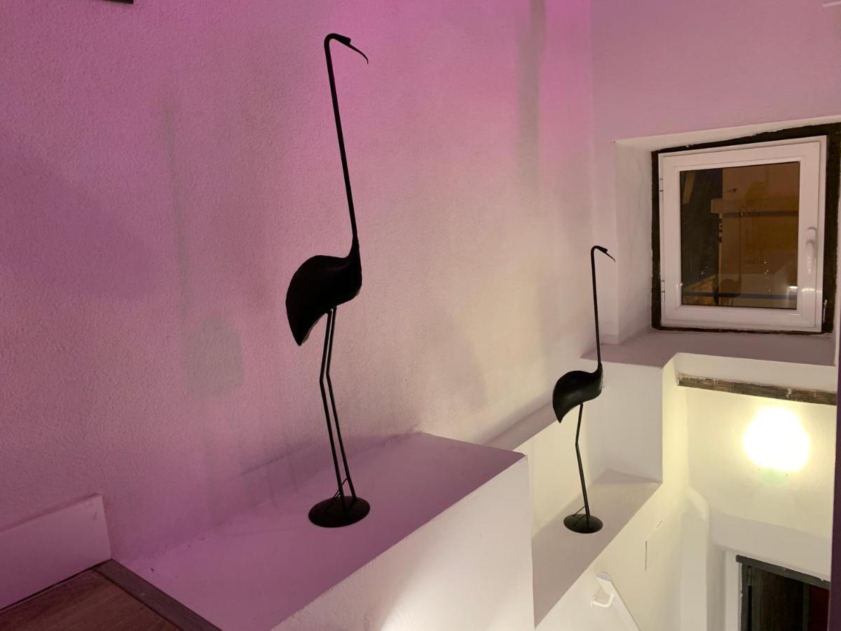 Vila Casita Del Flamingo En Casco Historico Alicante Exteriér fotografie